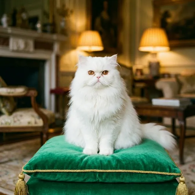 Persian